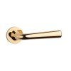 Durvju rokturi APRILE Tulipa R7S Polished Brass