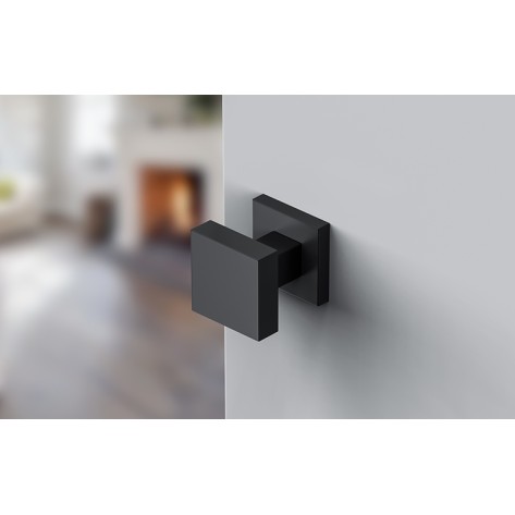 Door handle Corona Aegis Q