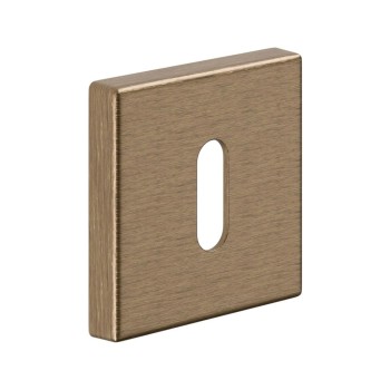 BB rosette BD14 Old Brass
