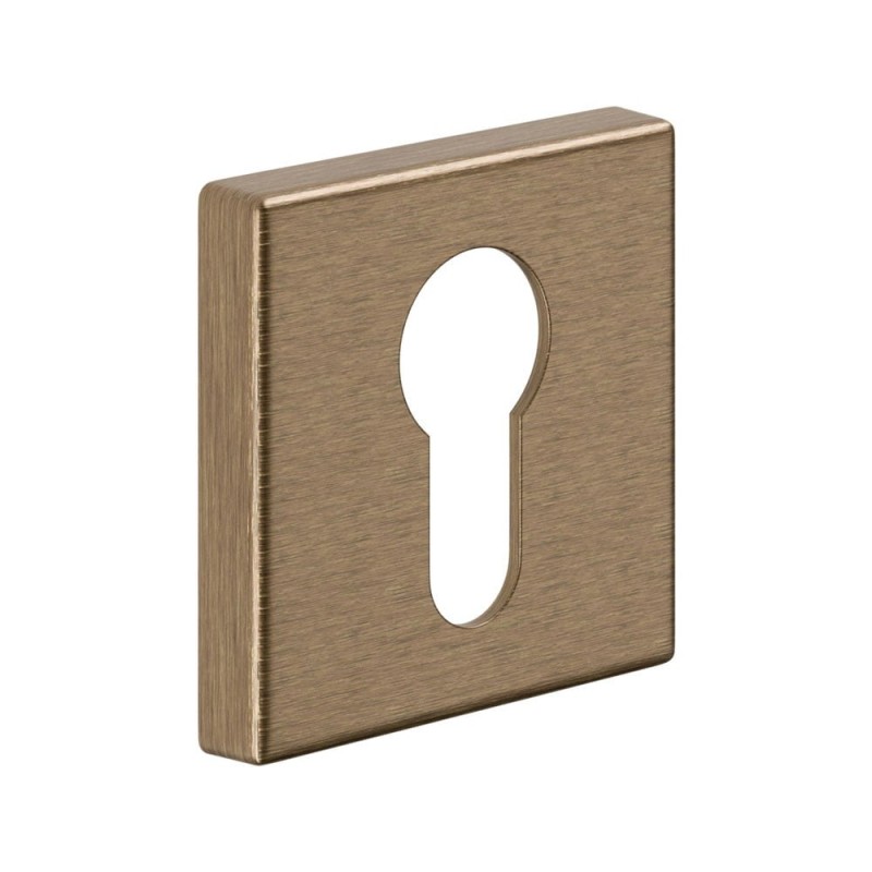 PZ rosette BD14 PZ Old Brass