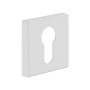 PZ rosette BD14 PZ White