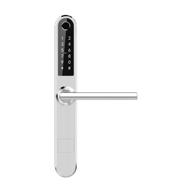 Ручка SMART SV31BW (водонепроницаемая IP55) Bluetooth Silver