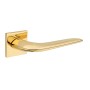 Rokturis TUPAI 4163 Q5S 01 Polished Brass