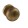 77 matte antique brass 