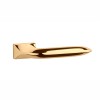 Handle APRILE GLADIOLA RT Polished Brass PVD