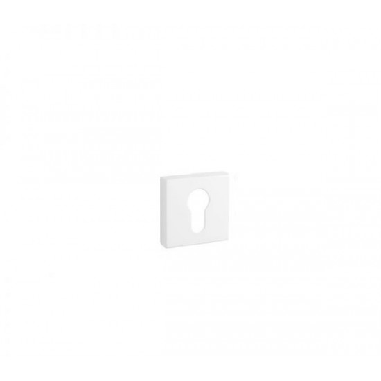 PZ rosette Tupai 1999 Q PZ 152 White