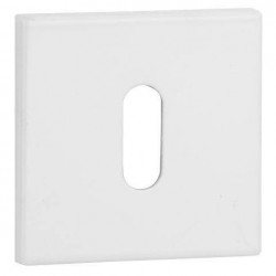 VDS Q6S R67F BB White