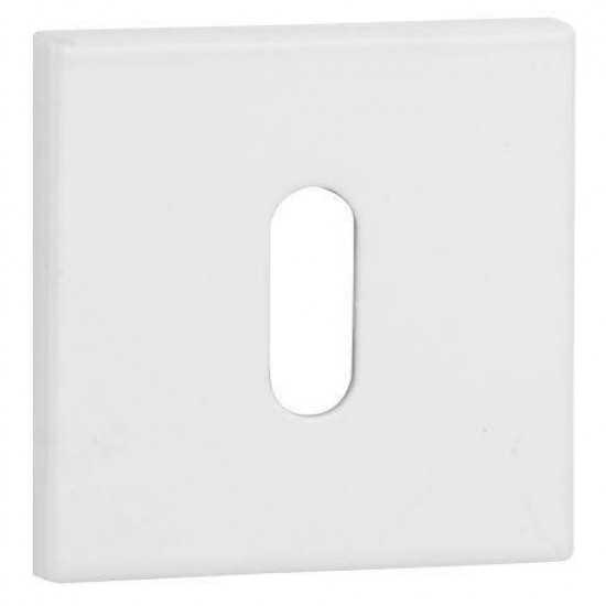 VDS Q6S R67F BB White