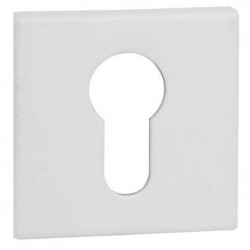 VDS Q6S R67F PZ White