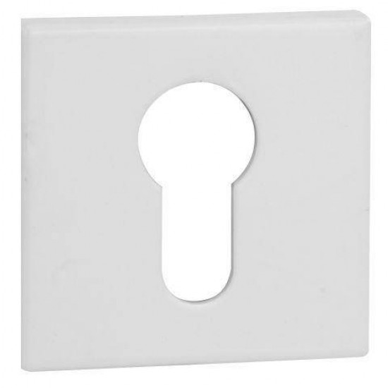 VDS Q6S R67F PZ White