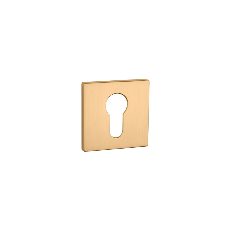 Escutcheon APRILE AS Q5S PZ — matt brass