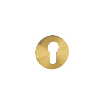 Escutcheons PZ JNF IN.04.28R.Y08N.TG — matt brass PVD