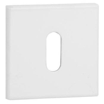 Escutcheon VDS Q6S R67F BB — white
