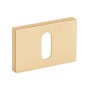 Escutcheons VDS RTQ R76 BB — matt brass