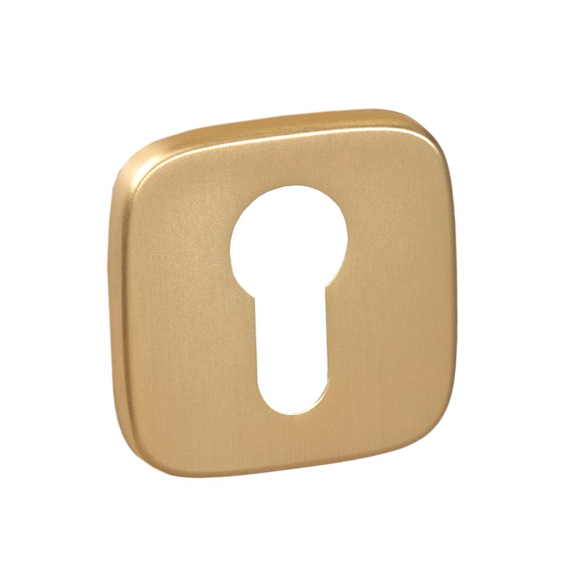 Escutcheons PZ VDS R82F — matt brass